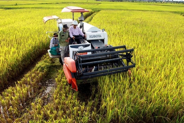 Trồng lúa để bán được 10 USD/tín chỉ carbon: Phải theo quy trình nghiêm ngặt