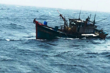 4 tàu cá gặp nạn trên biển, 1 người chết, 11 người mất tích