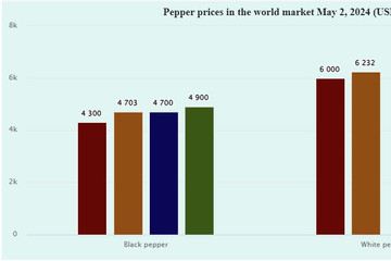 VN tops pepper exports, but prices are lowest in the world