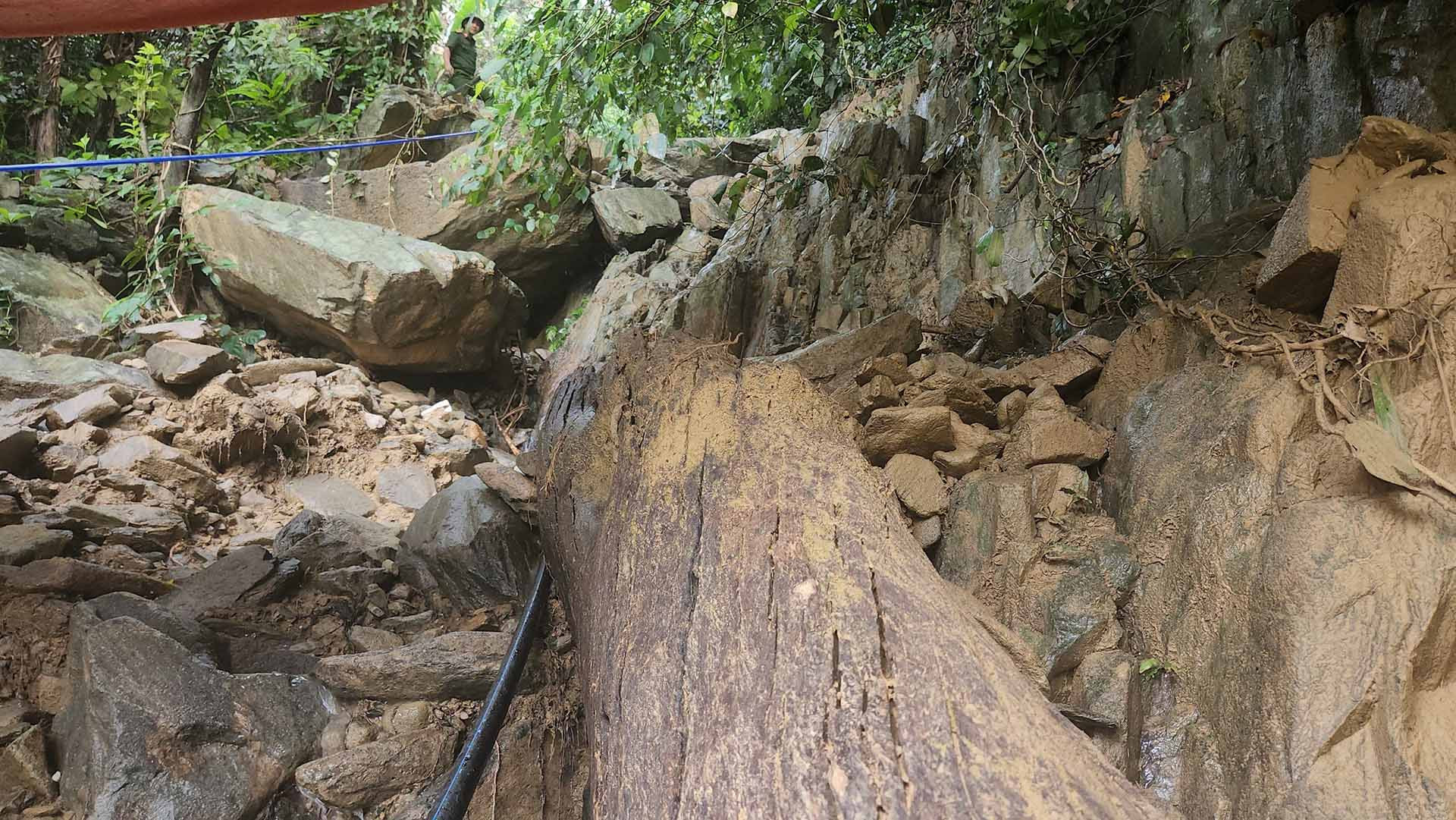 z5417231523413 5308d60aaf8bae5d26d3f583dee8ecfc.jpg