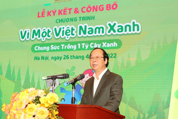 22,7 tỷ đồng trồng 1 tỷ cây xanh