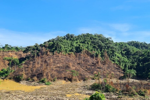 2.850 ha rừng 'biến mất', Sở Nông nghiệp Quảng Nam giải trình gì?