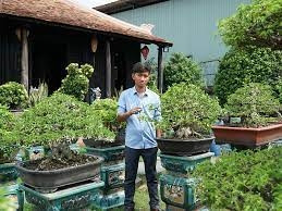 9X sở hữu vườn bonsai tiền tỷ, 21 tuổi đã trở thành nghệ nhân