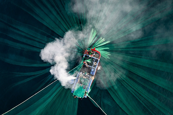 Ảnh 'Đánh cá cơm' của Việt Nam được xướng tên trong cuộc thi quốc tế danh tiếng