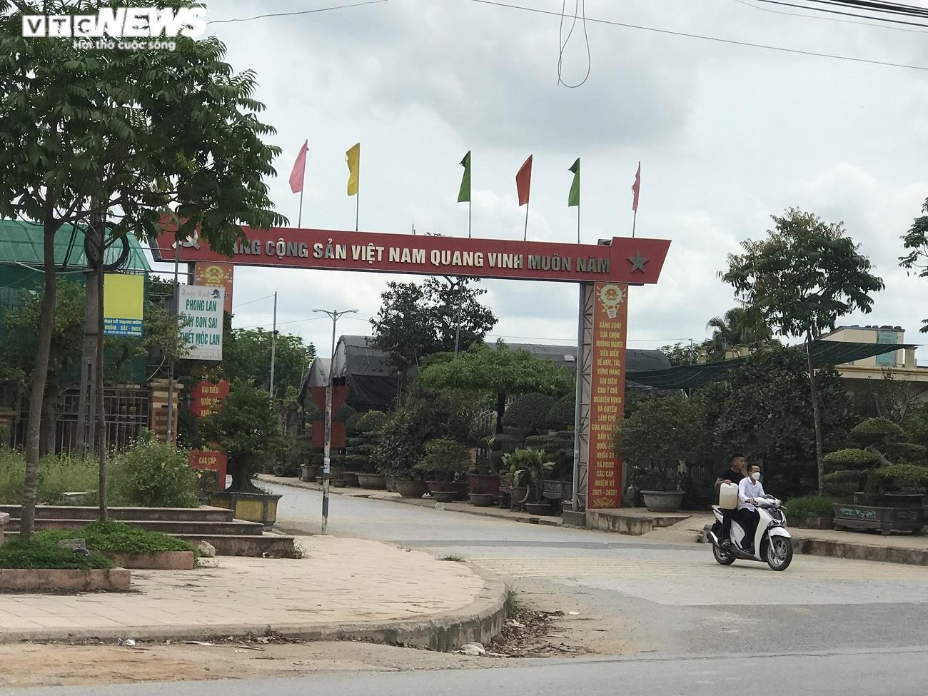Ảnh: Làng siêu cây cảnh ở Nam Định - 2