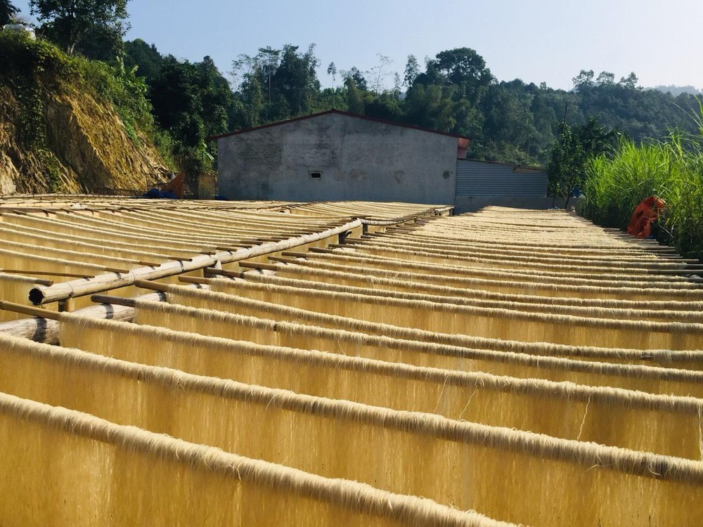 Bắc Kạn đẩy mạnh 5 nhóm sản phẩm thương hiệu Việt chủ lực