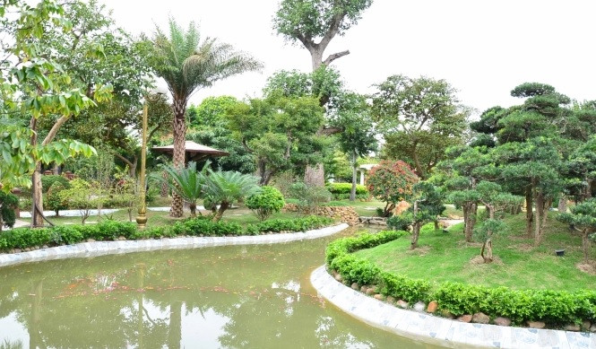 Bi mat it biet ve “dai gia trai lon” o Hai Duong-Hinh-7