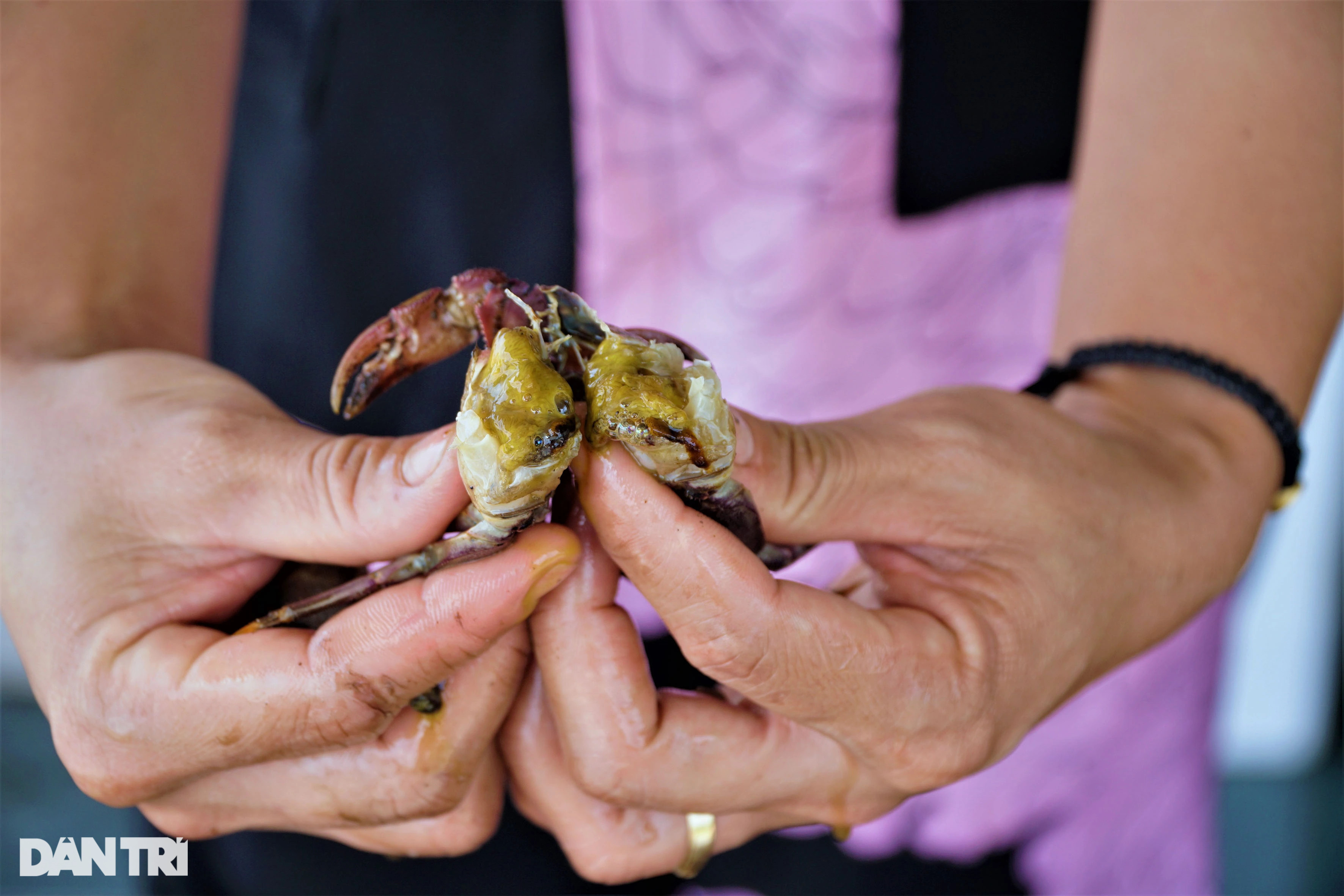 Bỏ phố về làng muối ba khía, vợ chồng 8X lãi hơn nửa tỷ đồng mỗi năm - 3