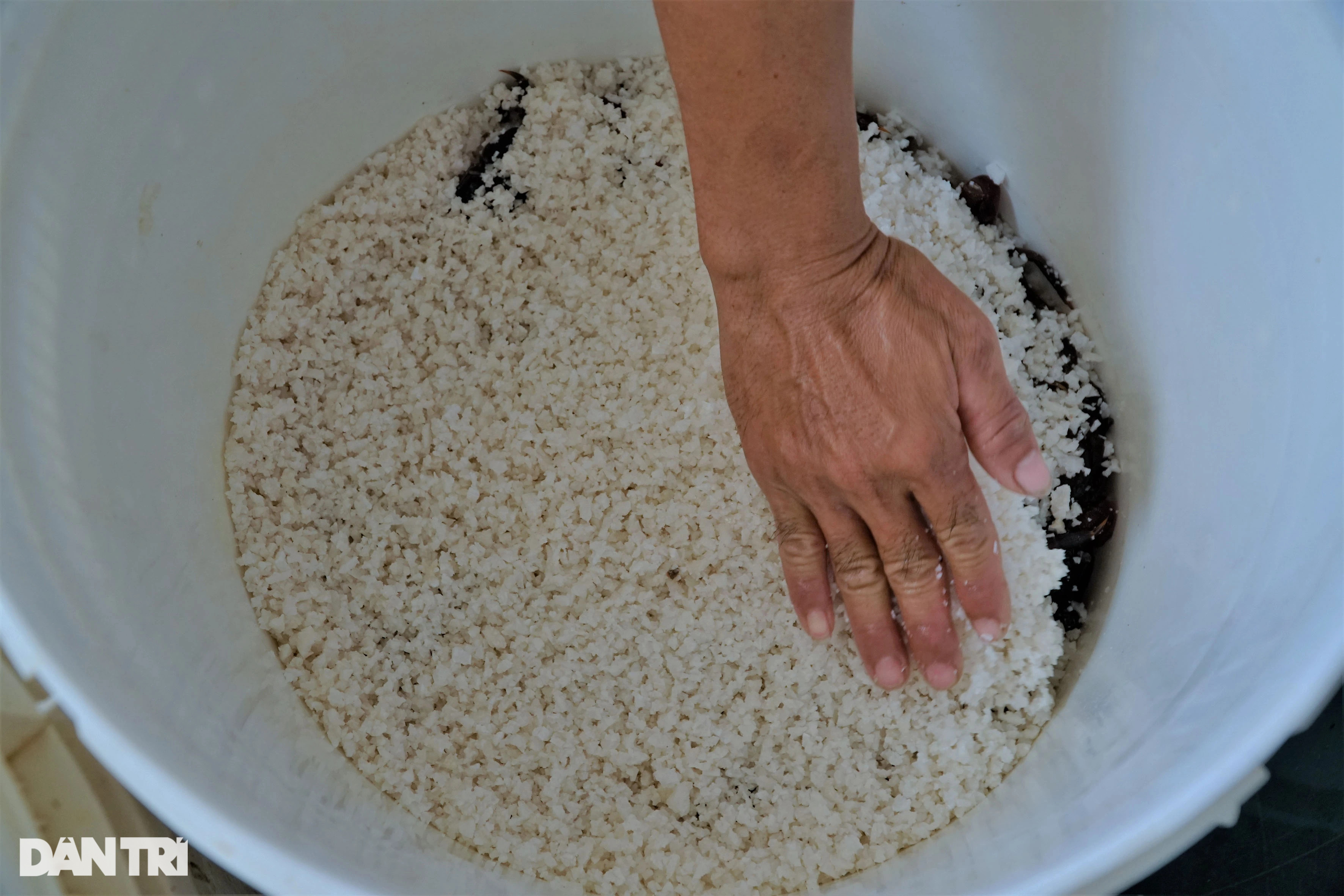 Bỏ phố về làng muối ba khía, vợ chồng 8X lãi hơn nửa tỷ đồng mỗi năm - 5