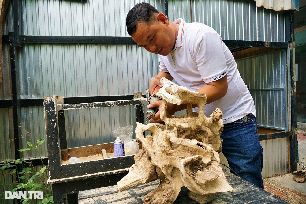 Bỏ việc nghìn đô la, kỹ sư về làm bonsai bất tử bán cho đại gia - 7