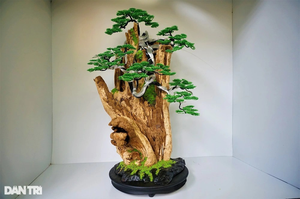 Bỏ việc nghìn đô la, kỹ sư về làm bonsai bất tử bán cho đại gia - 3