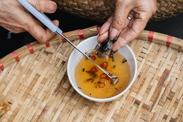 Cà cuống: Món ngon quý hiếm từ sình lầy, không phải ai cũng có cơ hội ăn thử - 3