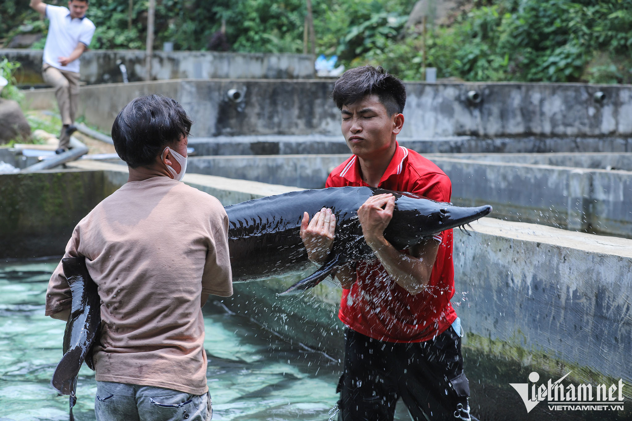 Xúc động hình ảnh CSGT thắp hương trước hài cốt liệt sĩ trên đường về quê