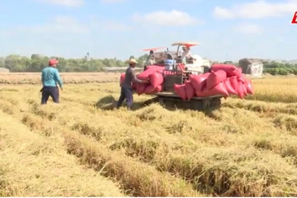 Các kênh phân phối hàng Việt Nam được mở rộng và phát triển với các điểm bán hàng Việt