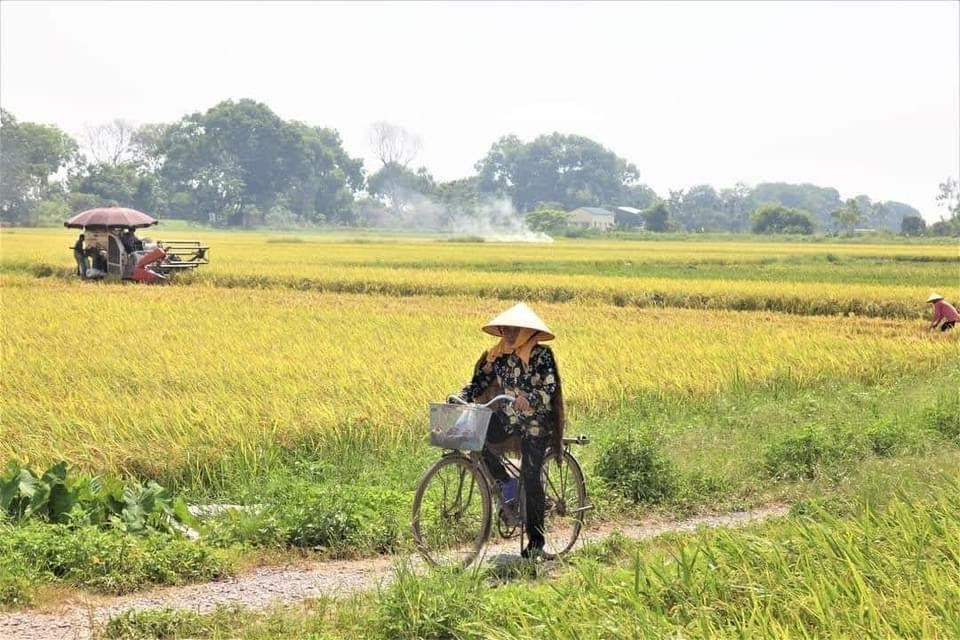 Cần những “nông dân lớn” và mô hình quản trị nông nghiệp chuyên nghiệp