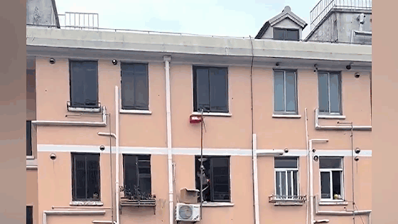 Cặp vợ chồng già mạo hiểm tính mạng cứu mèo đói