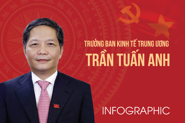 Chi tiết tiểu sử tân Trưởng ban Kinh tế Trung ương Trần Tuấn Anh