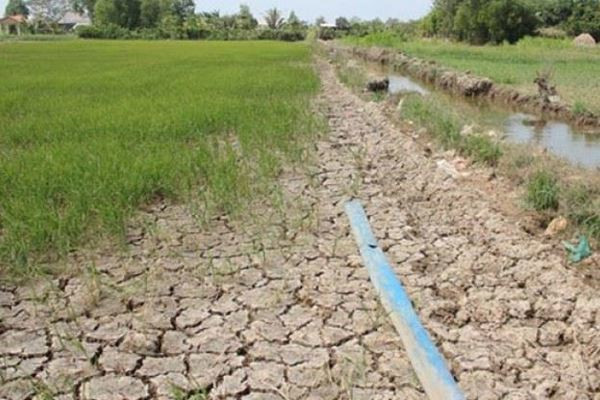 Chống sa mạc và hạn hán để thúc đẩy phát triển bền vững