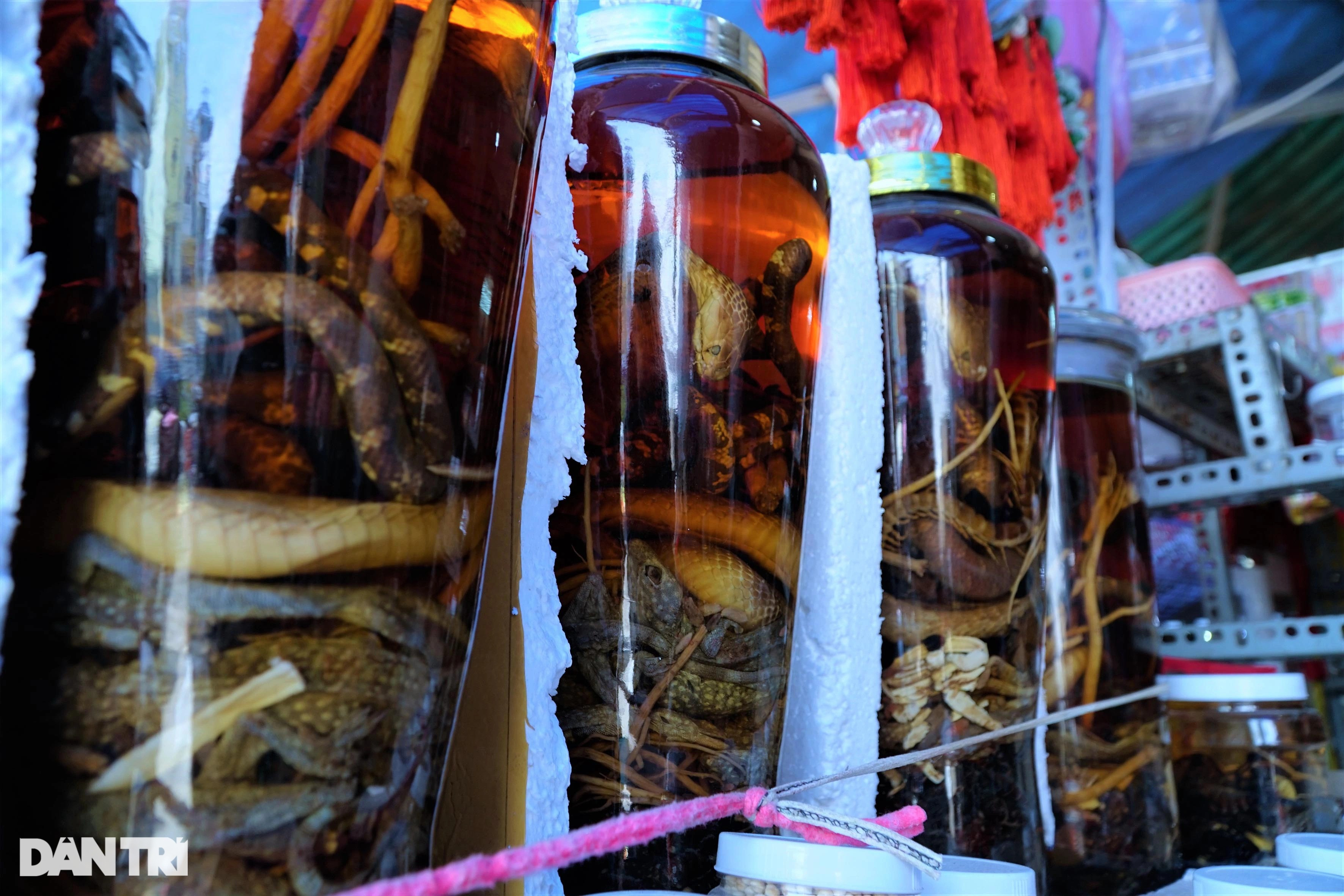 Chuyện những tiểu thương ở phiên chợ kỳ lạ, bán thứ ai nhìn cũng rùng mình - 4