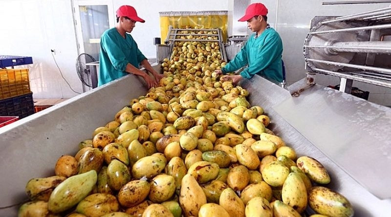 Cơ hội cho hàng Việt vào thị trường GCC đang rộng mở