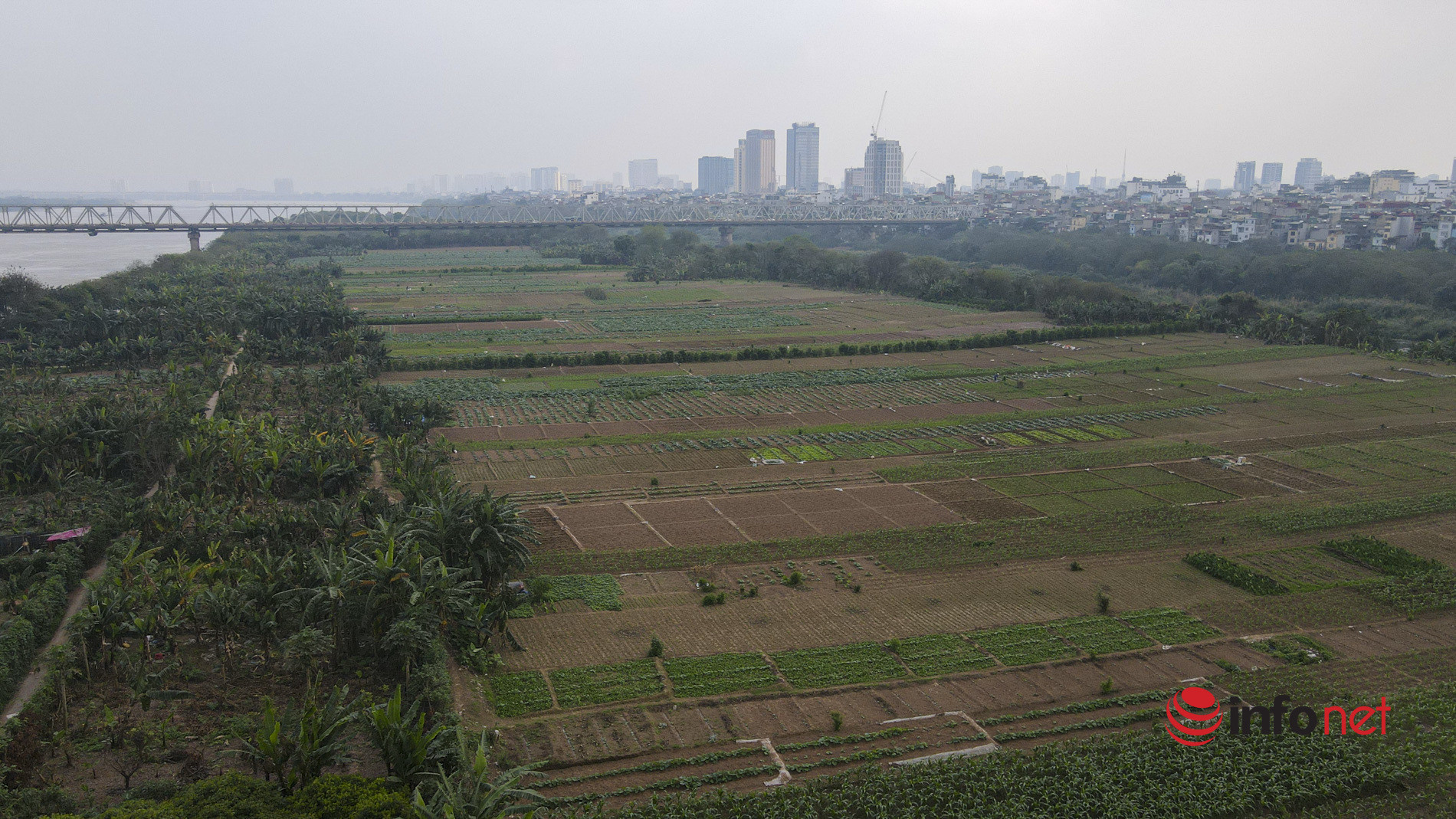 Hà Nội: Toàn cảnh bãi giữa sông Hồng nên thơ được đề xuất cải tạo thành công viên văn hóa