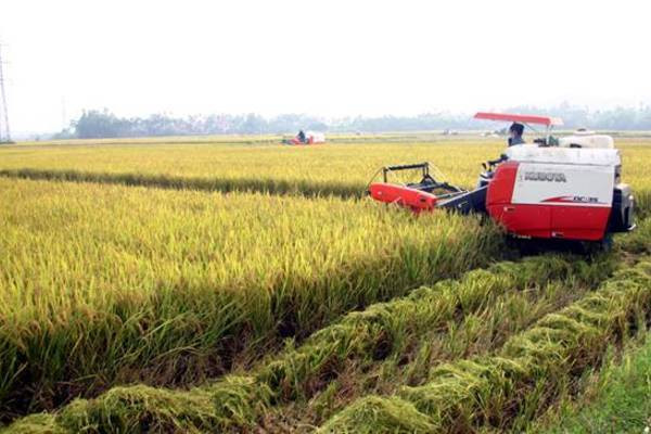 Đẩy mạnh “8G” để phát triển mảnh đất 