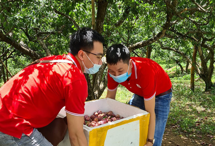 Đẩy mạnh đưa hàng Việt vào chuỗi siêu thị lớn Thụy Điển