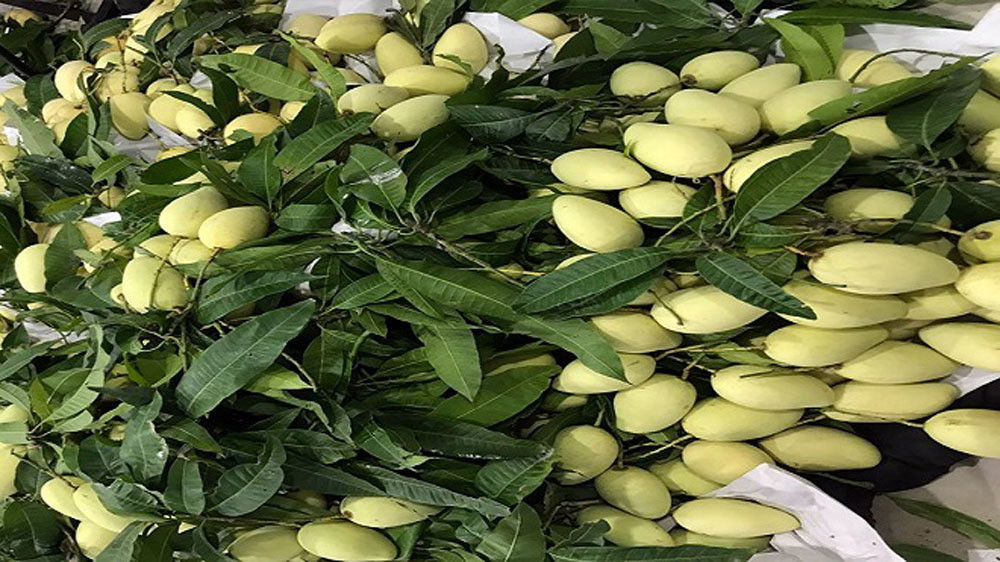 Đẩy mạnh tiêu thụ trực tuyến 3 loại nông sản Việt