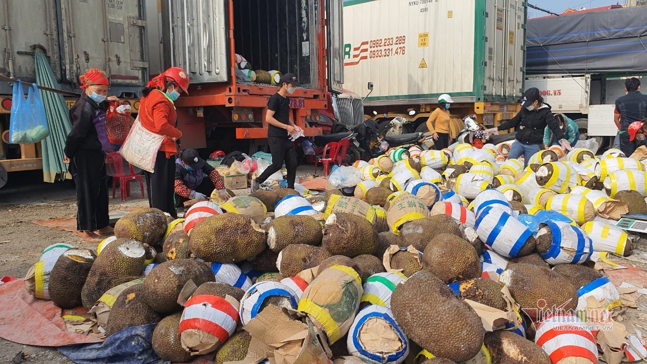 Đề nghị Lạng Sơn, Quảng Ninh, 2 bộ báo cáo về hàng xuất Trung Quốc tắc ở cửa khẩu