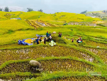 Đoàn kết ứng phó biến đổi khí hậu, phục hồi tự nhiên là ưu tiên cao nhất trong mọi quyết sách