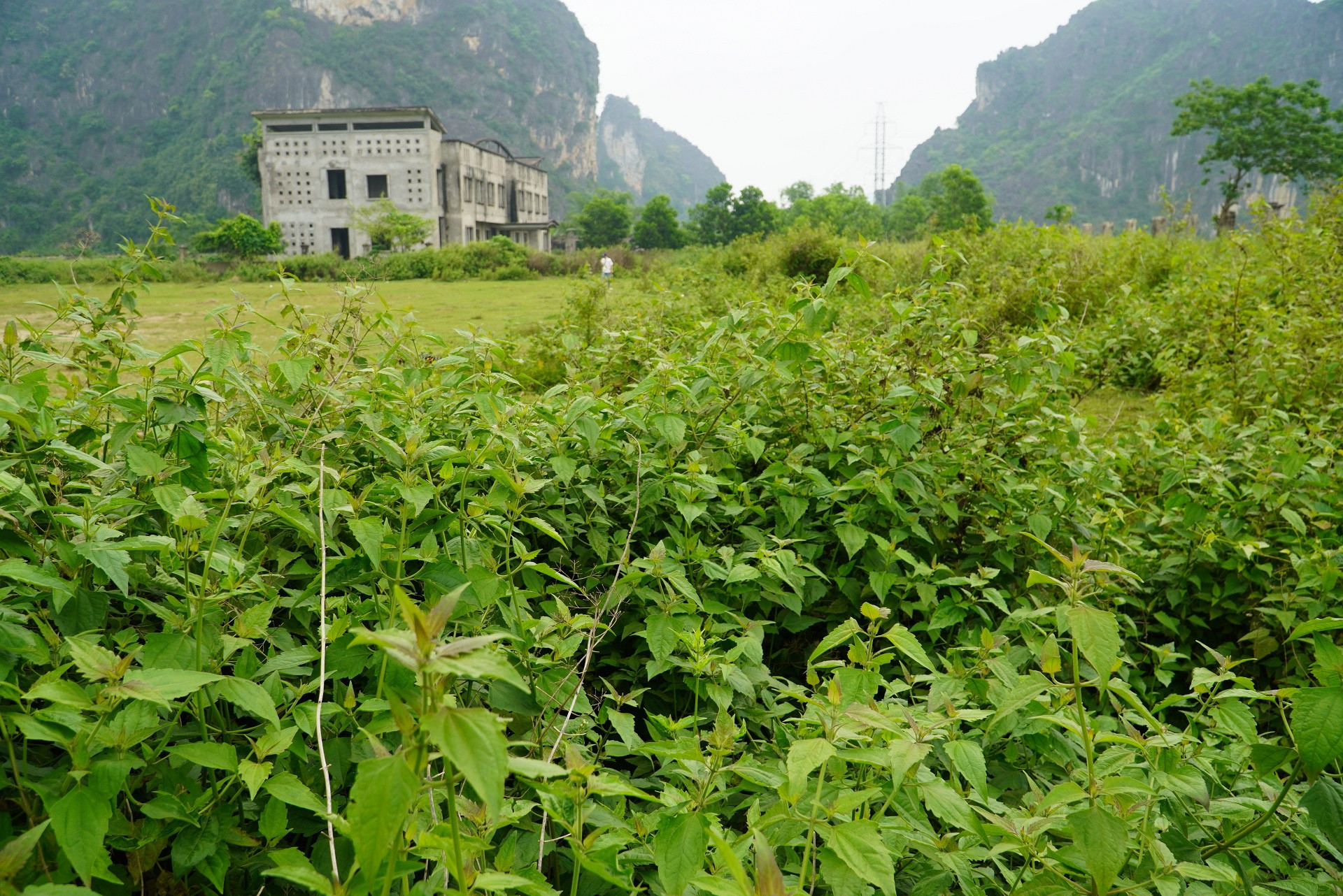 du an nha may xi mang do dang anh 7