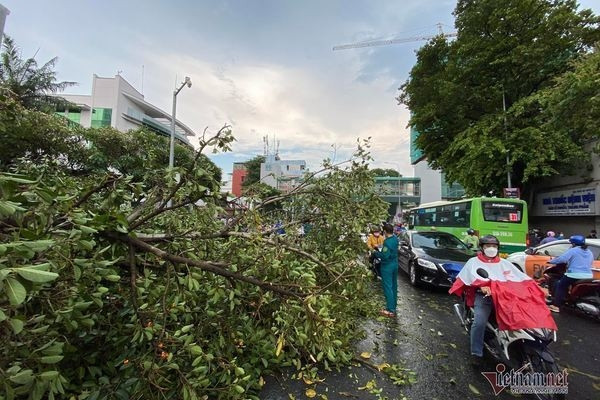 Dự báo thời tiết 6/4: Miền Bắc tăng nhiệt, cảnh báo Nam Bộ có mưa to, gió giật