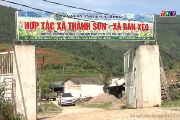 Dư địa, tiềm năng sản xuất phát triển của kinh tế tập thể, hợp tác xã còn rất lớn