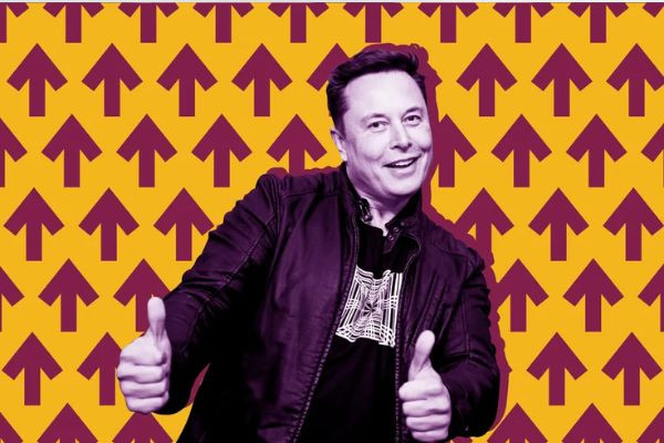 Elon Musk tin doanh thu Twitter sẽ tăng gấp đôi nhờ người dùng trả phí