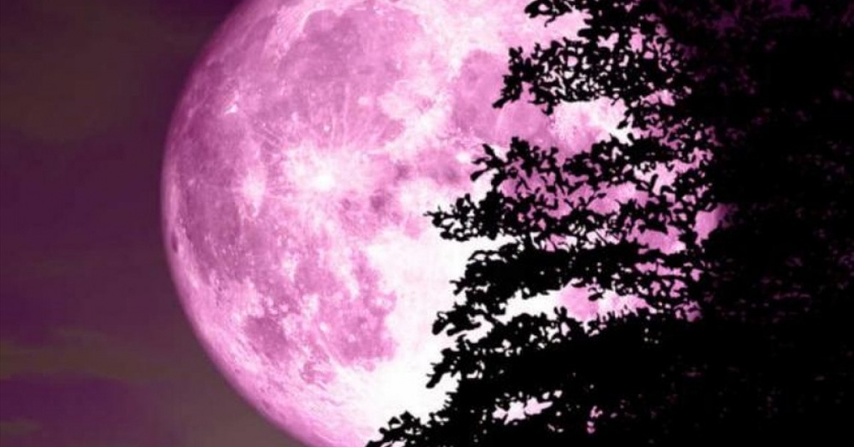 Розовое полнолуние 2024. Полнолуние. Розовая Луна. Розовая ночь. Розовое полнолуние.
