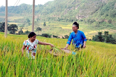 Hà Giang: Đưa sản phẩm OCOP đến tay người tiêu dùng qua các sàn thương mại điện tử