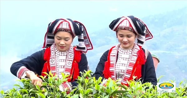 Hà Giang: Sản phẩm OCOP 5 sao góp phần tích cực vào chương trình “Tự hào hàng Việt Nam”, “Tinh hoa hàng Việt Nam”
