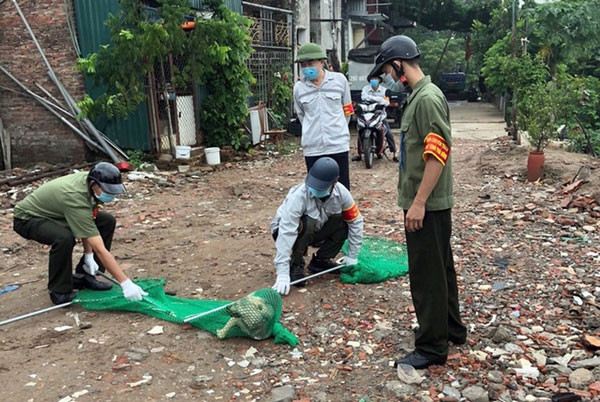 Hanoi to set up teams to catch stray dogs