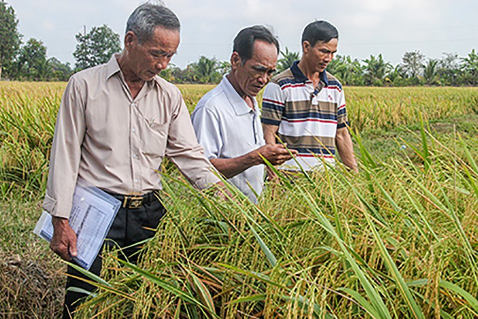 Hậu Giang sẽ triển khai các ứng dụng thông minh chuyển đổi số trong nông nghiệp, du lịch...
