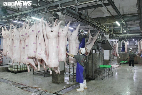 The price of live hog has just started to rise, the price of meat in the market has jumped
