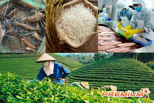 Hơn 1.600 mã sản phẩm nông sản, thực phẩm được xuất khẩu sang Trung Quốc