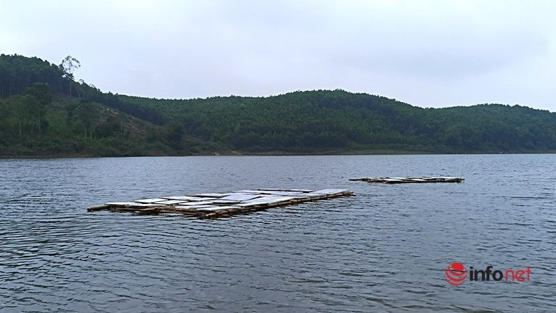 Triển lãm tranh trên mặt hồ, trong rừng gây ấn tượng