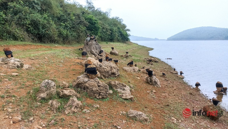 Triển lãm tranh trên mặt hồ, trong rừng gây ấn tượng