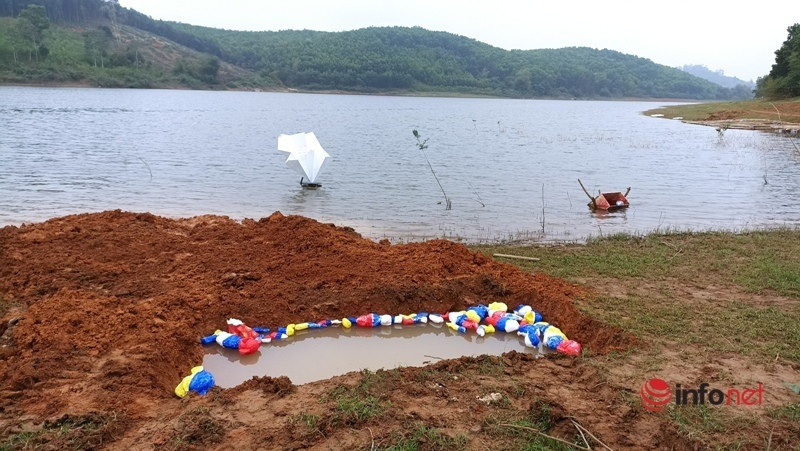 Triển lãm tranh trên mặt hồ, trong rừng gây ấn tượng