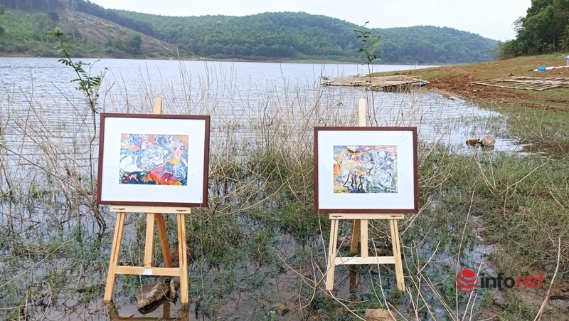 Triển lãm tranh trên mặt hồ, trong rừng gây ấn tượng