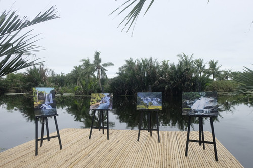 Impressive photo exhibition on rice field in Hoi An
