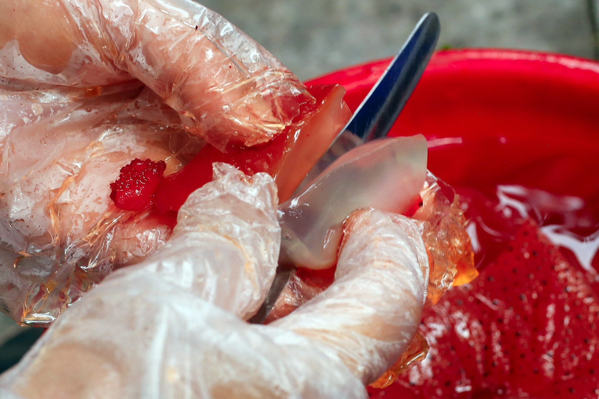 hang sua do hut khach Ha Noi anh 8