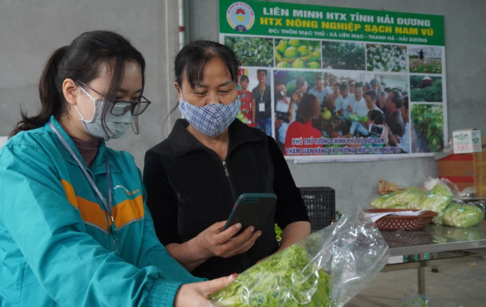 Khai trương cổng thông tin hỗ trợ đưa hàng Việt lên sàn thương mại điện tử