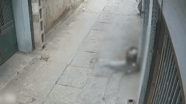 Khoảnh khắc cháu nhỏ bất ngờ lao từ ngách ra đường khiến xe máy không kịp tránh