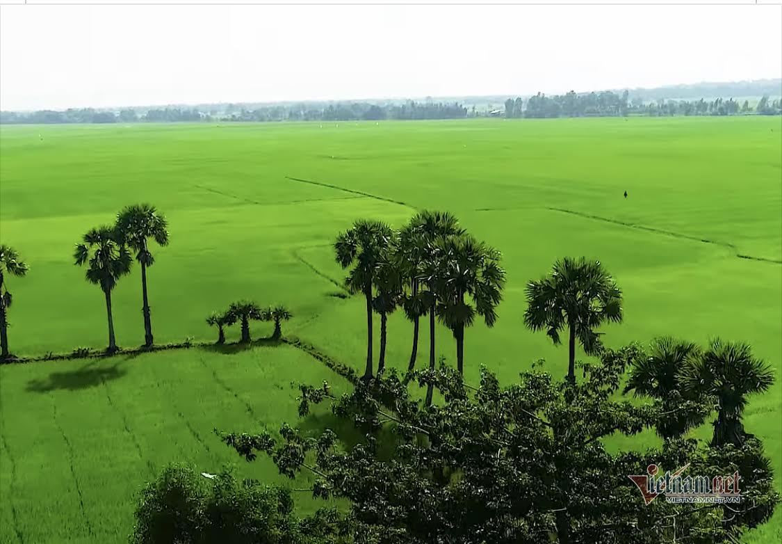 Kiểm toán môi trường nhằm tăng cường năng lực, hiệu quả quản lý môi trường của doanh nghiệp